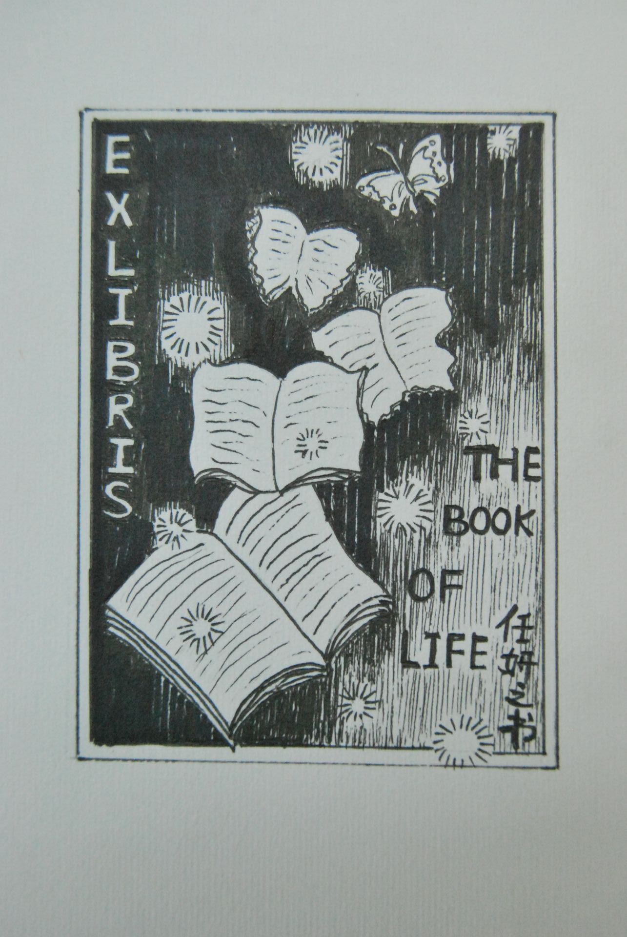 藏书票 《书香化蝶》 西城区实验学校 任妍