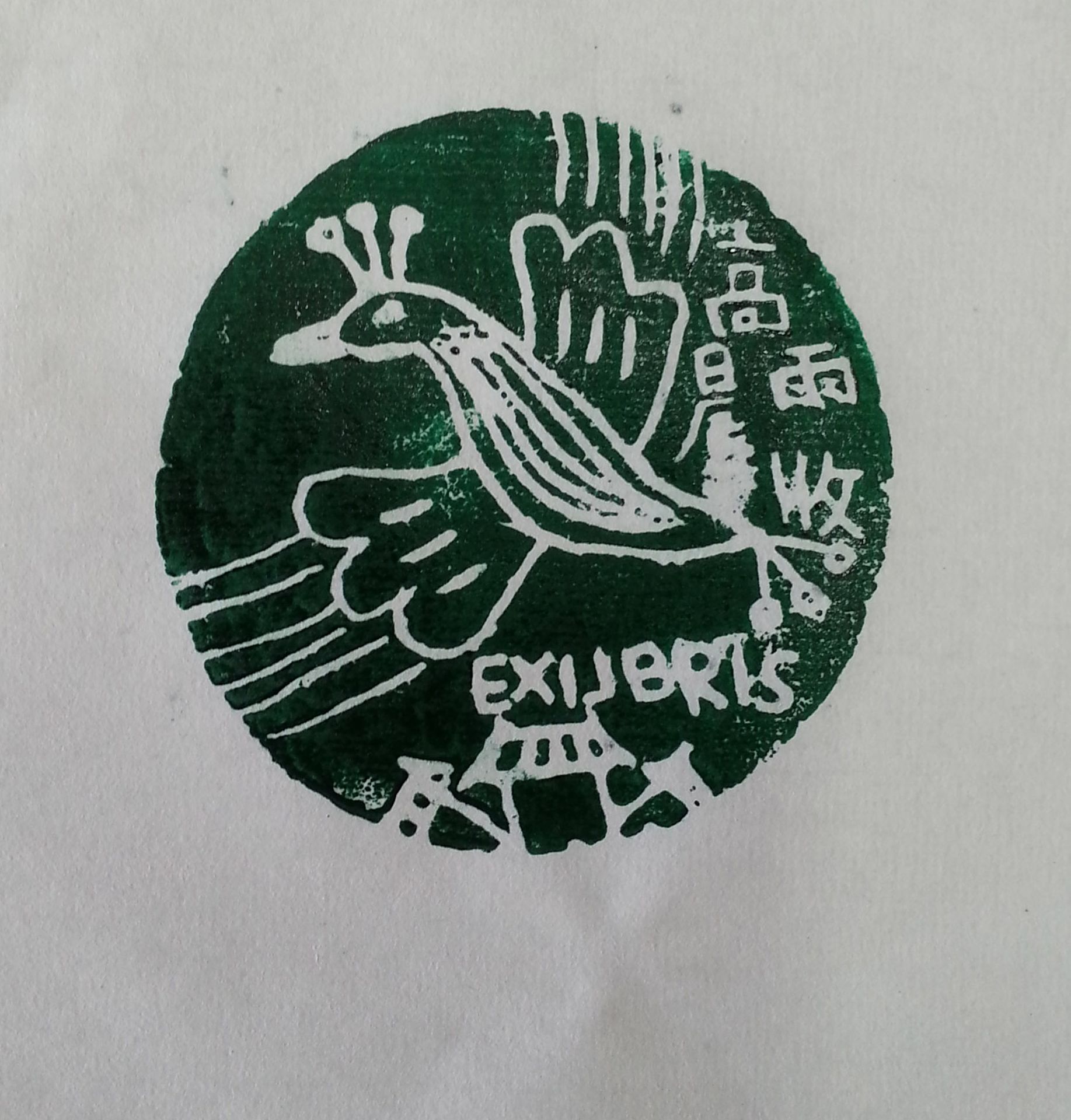 藏书票 《藏书票》 一师附小 高雨晨