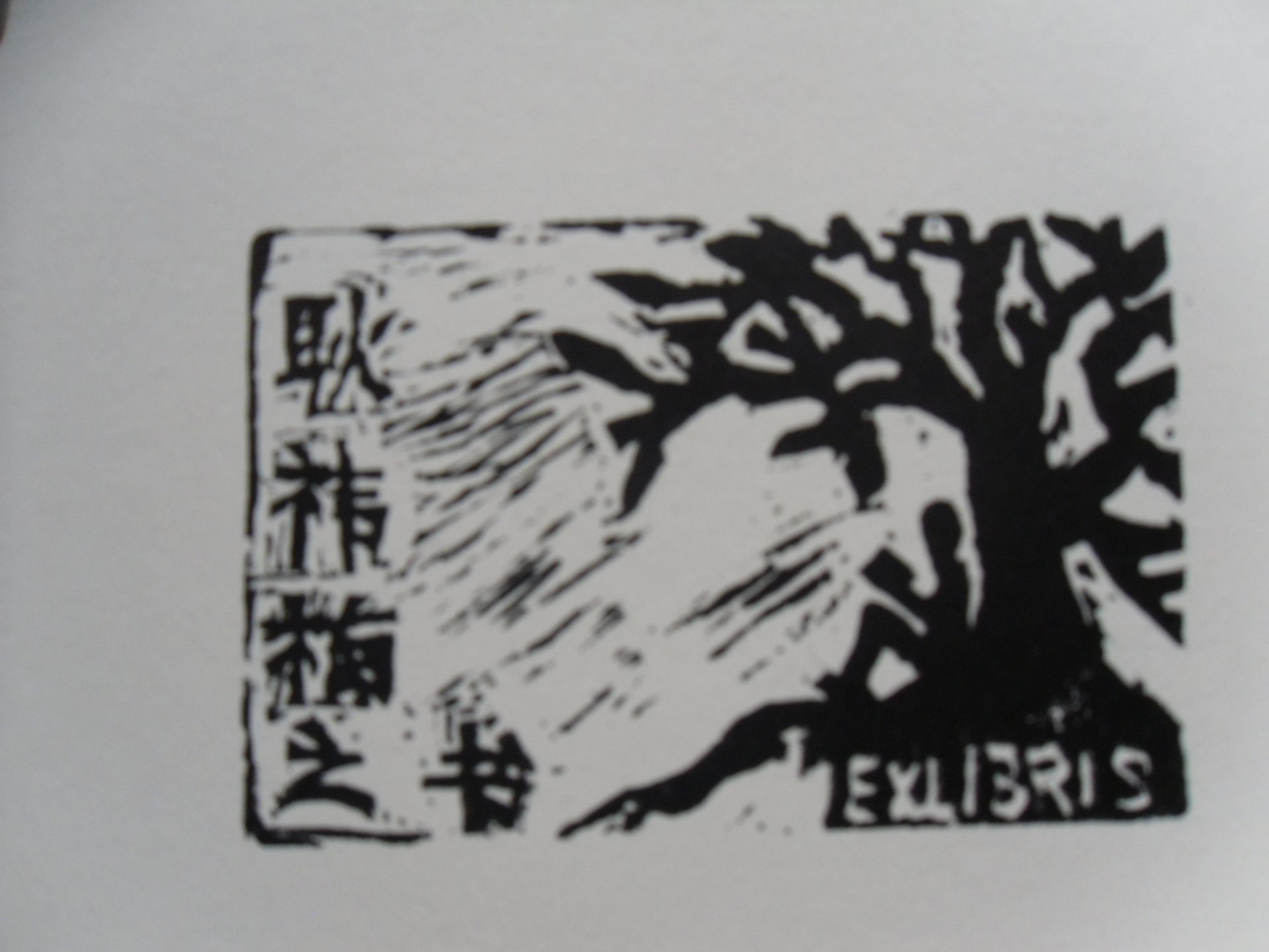 藏书票 （无题） 耿祎楠