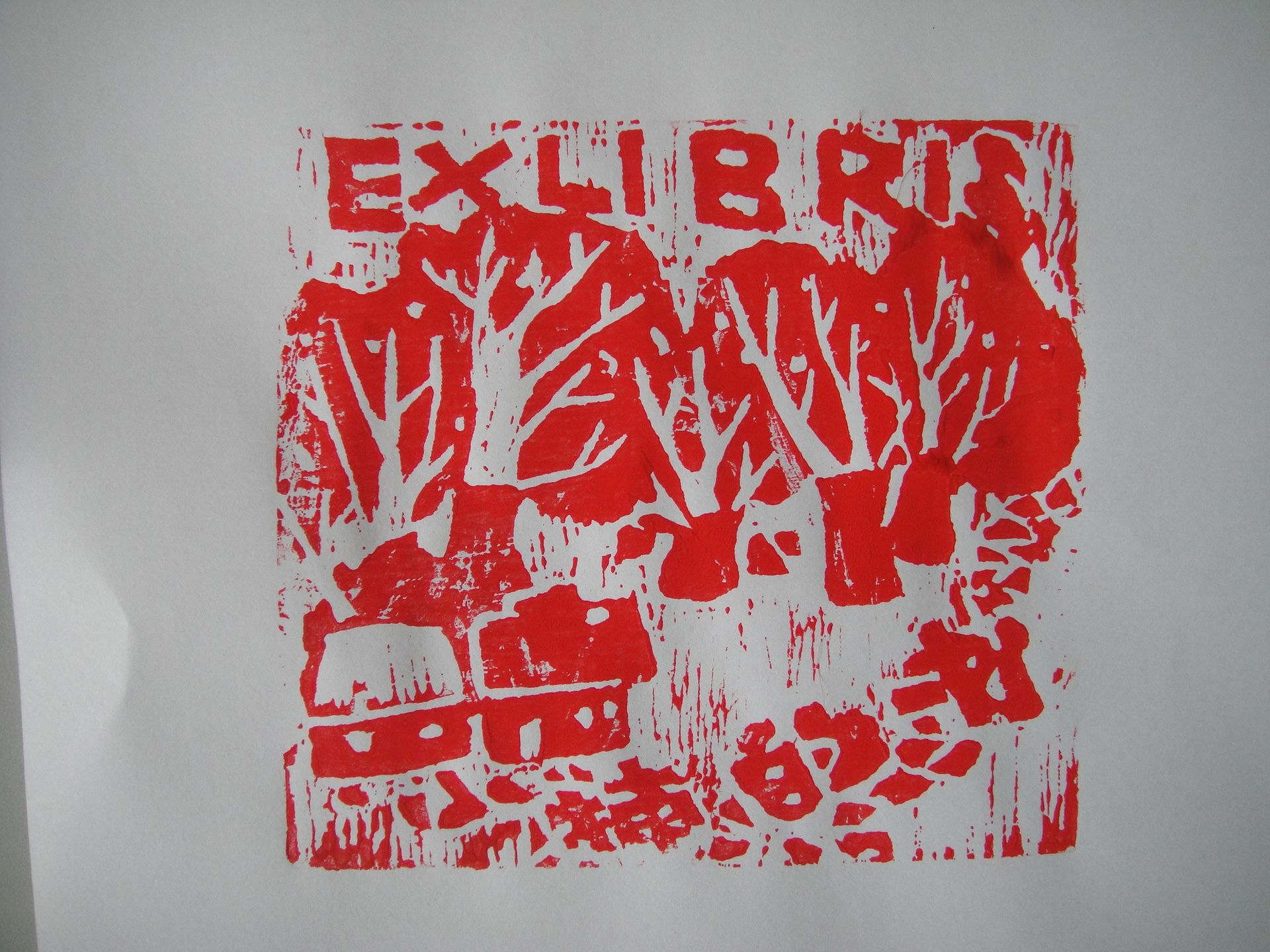 藏书票 （无题） 平谷区第七小学 贾瑛楠